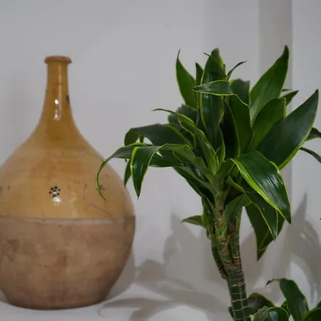 Palazzo Salvatori 4*